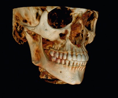 どんな画像が映し出されるの？